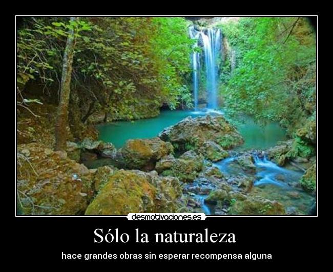 Sólo la naturaleza - hace grandes obras sin esperar recompensa alguna