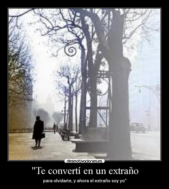 Te convertí en un extraño -