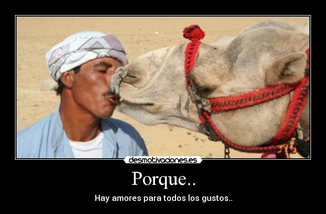 carteles porque desmotivaciones