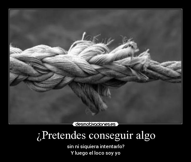 ¿Pretendes conseguir algo - sin ni siquiera intentarlo?
Y luego el loco soy yo