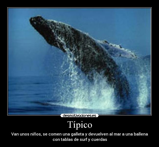 carteles cmds desmotivaciones