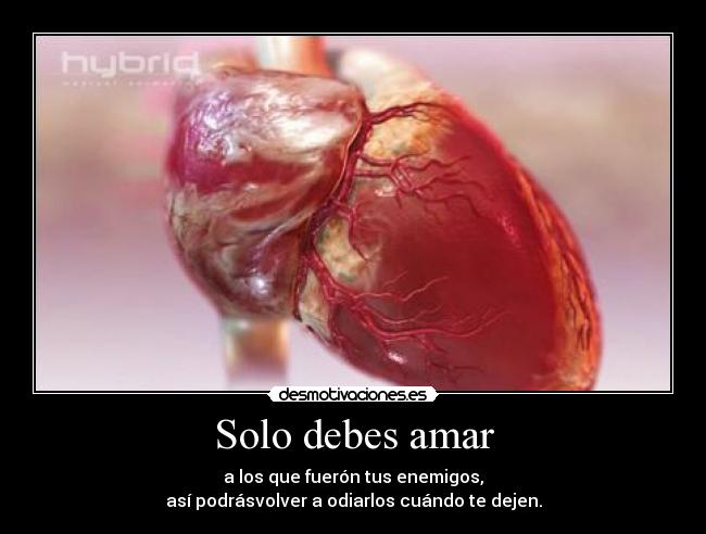 Solo debes amar -