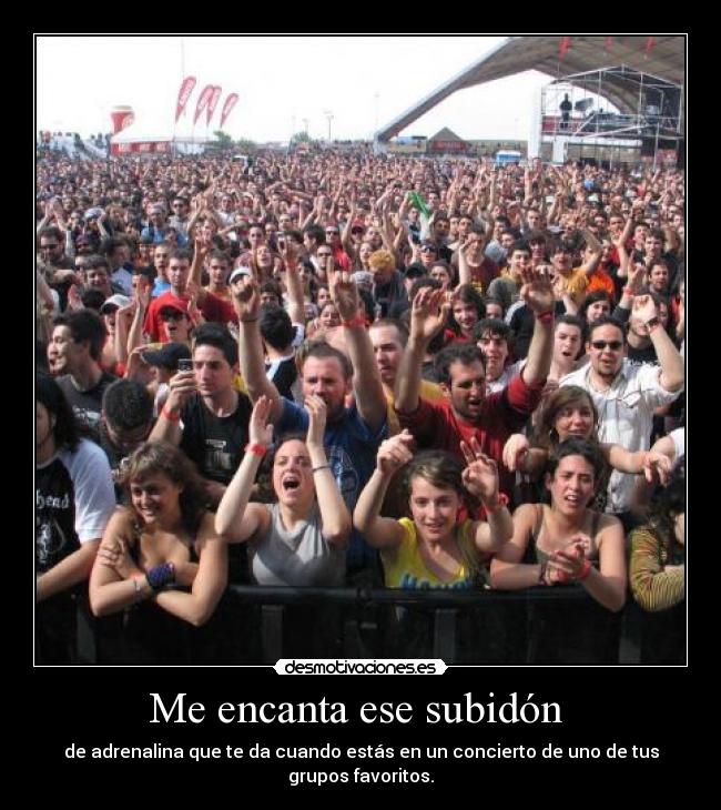 Me encanta ese subidón - de adrenalina que te da cuando estás en un concierto de uno de tus grupos favoritos.