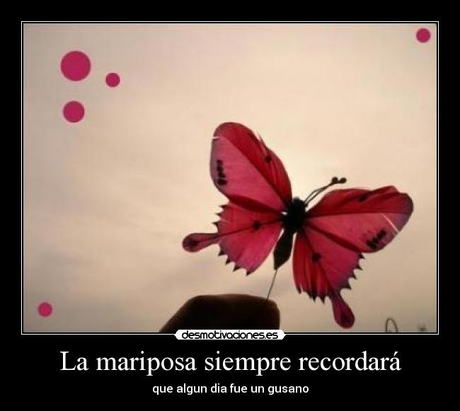 La mariposa siempre recordará - 