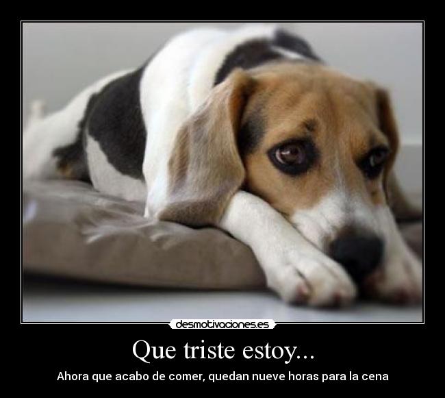 Que triste estoy... - 