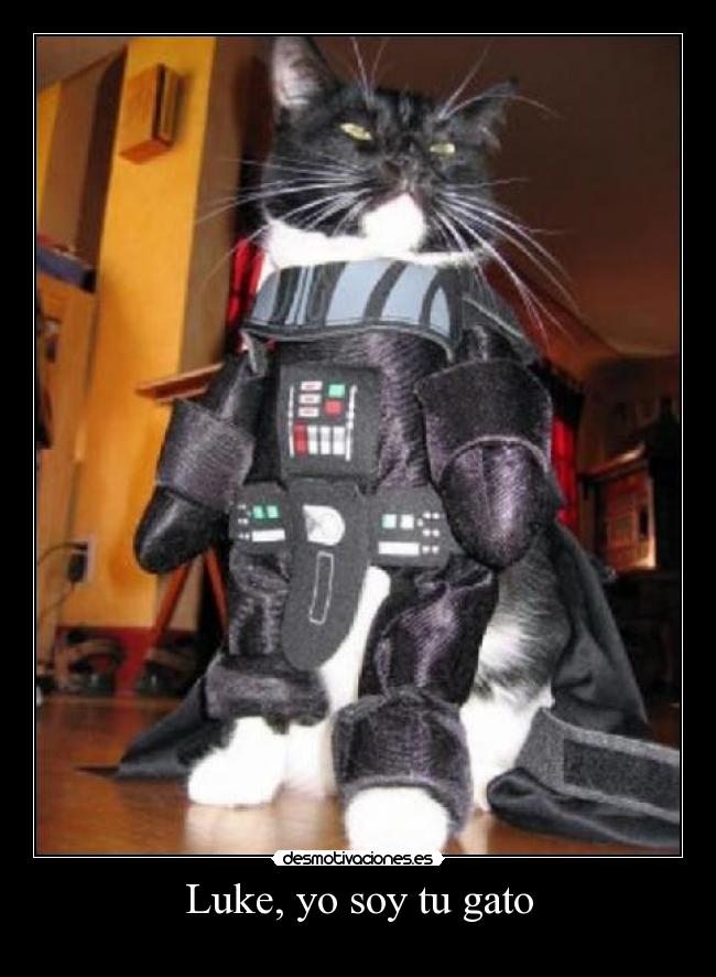 carteles gatos que creen darth vader desmotivaciones