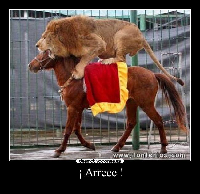 ¡ Arreee ! -