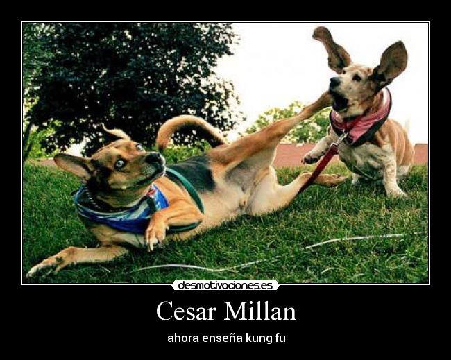 Cesar Millan -