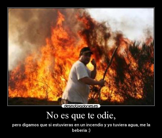 No es que te odie, -