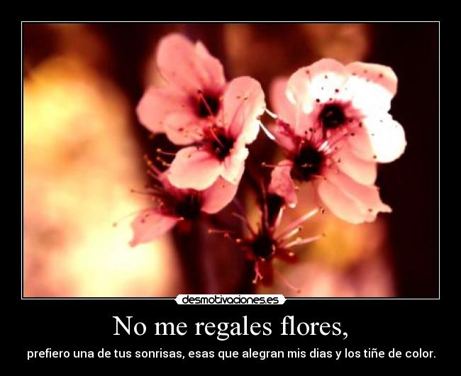 No me regales flores, - prefiero una de tus sonrisas, esas que alegran mis dias y los tiñe de color.