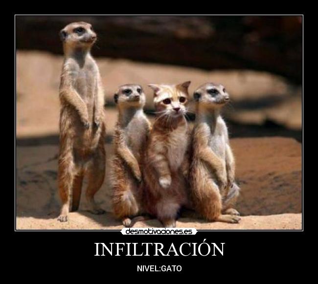 INFILTRACIÓN -