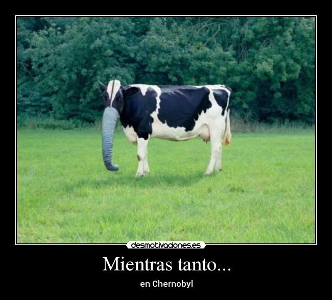 Mientras tanto... - en Chernobyl