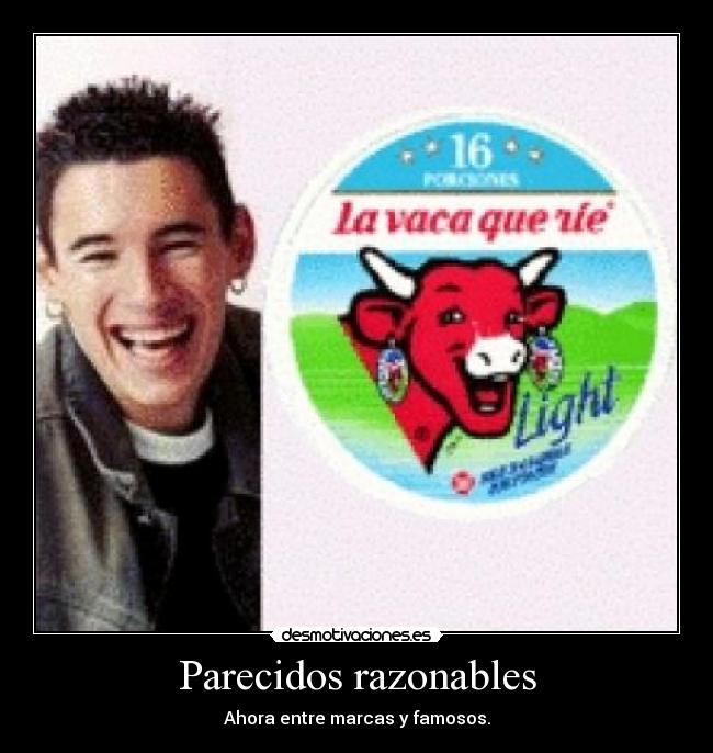 Parecidos razonables -