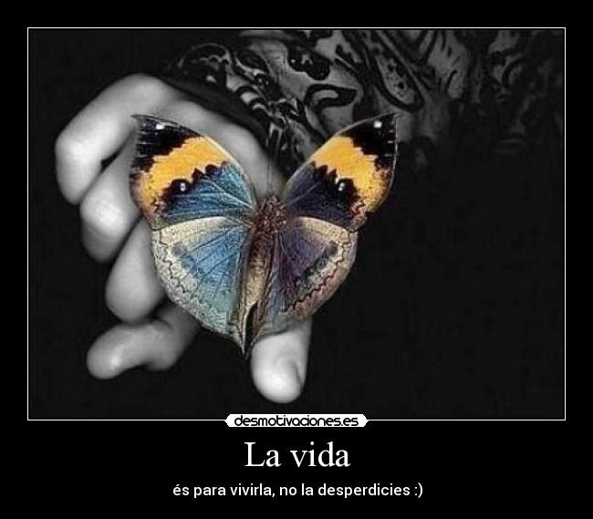 La vida - 