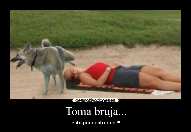 Toma bruja... - esto por castrarme !!!