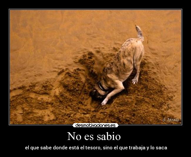 No es sabio - el que sabe donde está el tesoro, sino el que trabaja y lo saca