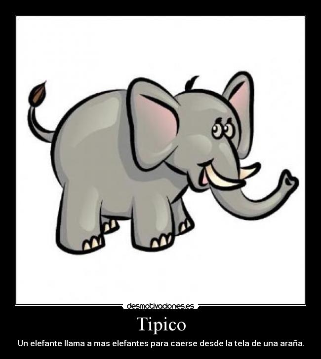 Tipico - Un elefante llama a mas elefantes para caerse desde la tela de una araña.