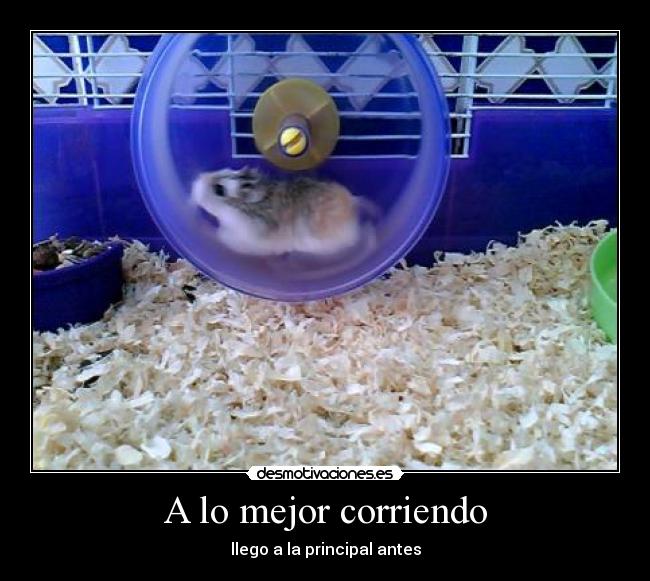 A lo mejor corriendo - llego a la principal antes