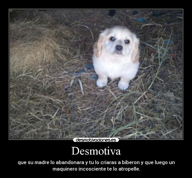 Desmotiva - que su madre lo abandonara y tu lo criaras a biberon y que luego un
maquinero incosciente te lo atropelle.