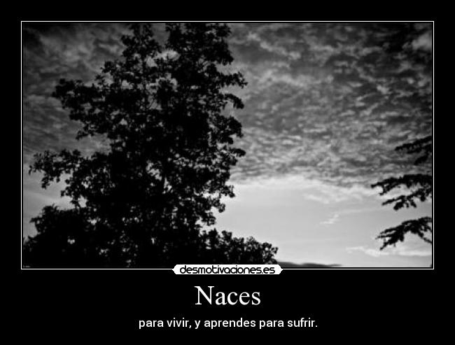 Naces -
