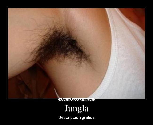 Jungla - 
