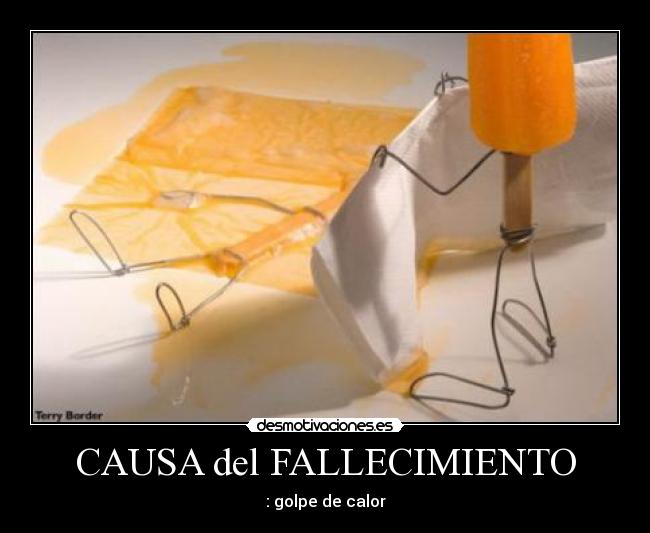 CAUSA del FALLECIMIENTO - : golpe de calor