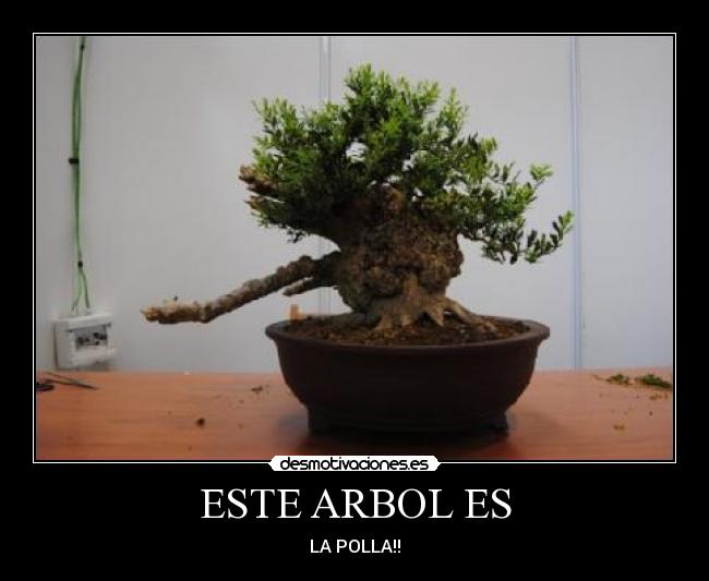 ESTE ARBOL ES - 