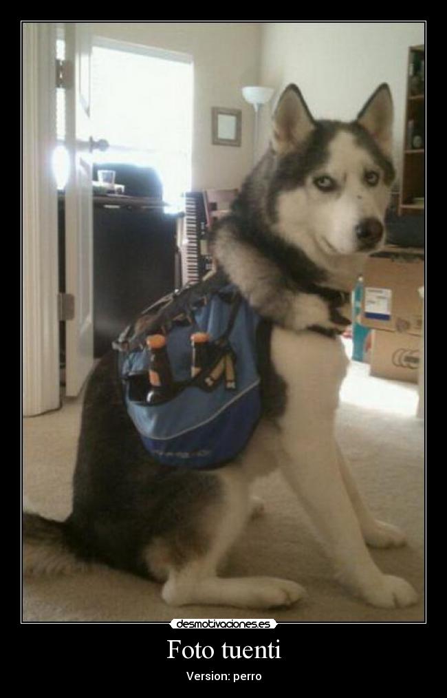 Foto tuenti - Version: perro