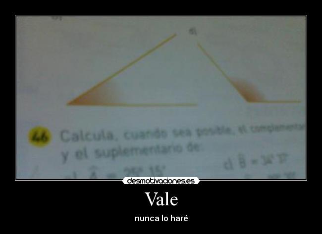 Vale - nunca lo haré