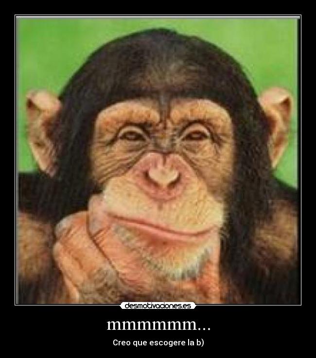 carteles mmmmmm desmotivaciones