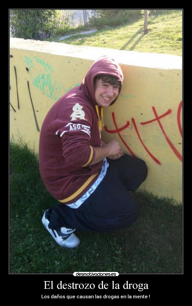 El destrozo de la droga -