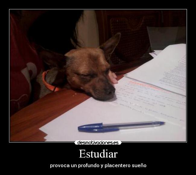 Estudiar - provoca un profundo y placentero sueño