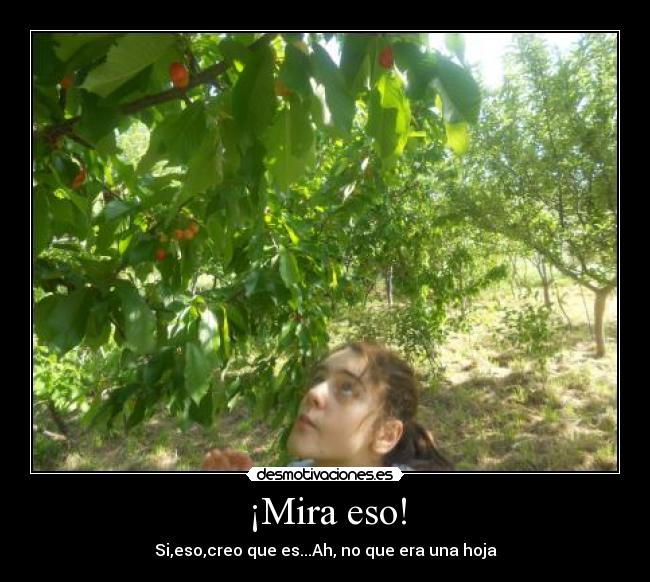 ¡Mira eso! - Si,eso,creo que es...Ah, no que era una hoja