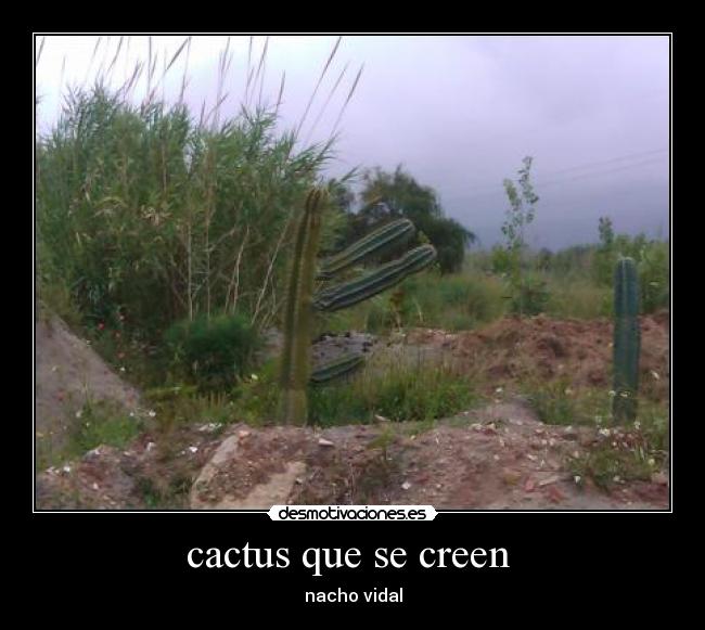 cactus que se creen - nacho vidal