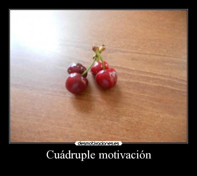 Cuádruple motivación -