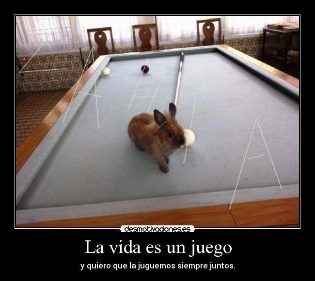 carteles vida zahia desmotivaciones