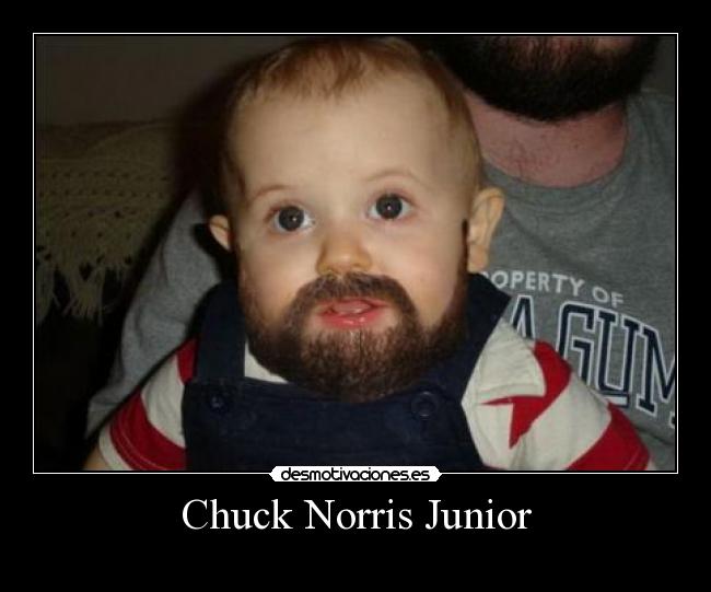 Chuck Norris Junior - 