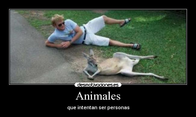 Animales - que intentan ser personas