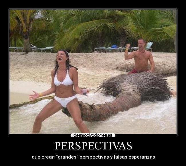 PERSPECTIVAS - 