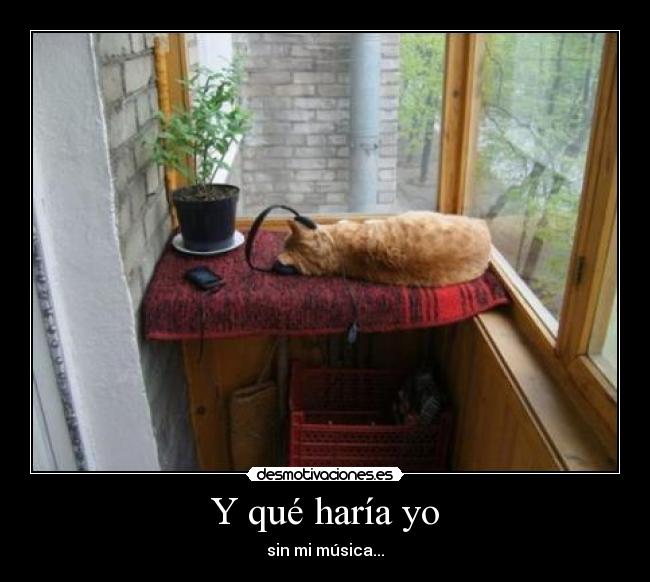 Y qué haría yo - sin mi música...