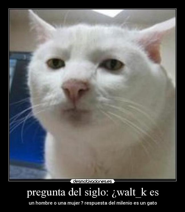 carteles walt_k desmotivaciones