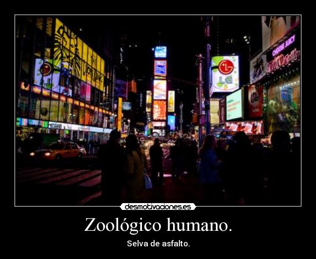 Zoológico humano. - Selva de asfalto.