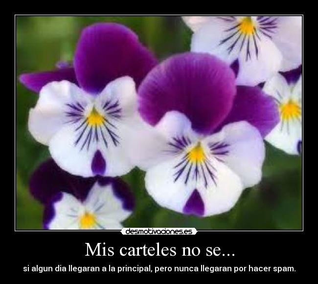 Mis carteles no se... - si algun dia llegaran a la principal, pero nunca llegaran por hacer spam.