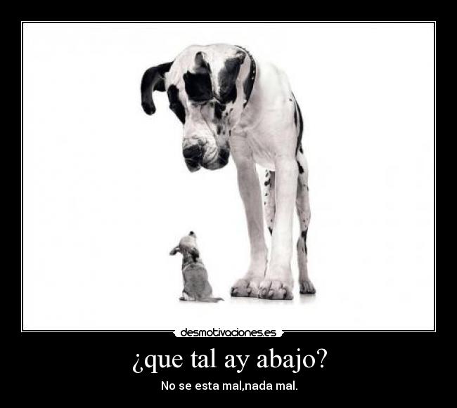 ¿que tal ay abajo? -