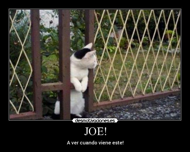 JOE! -