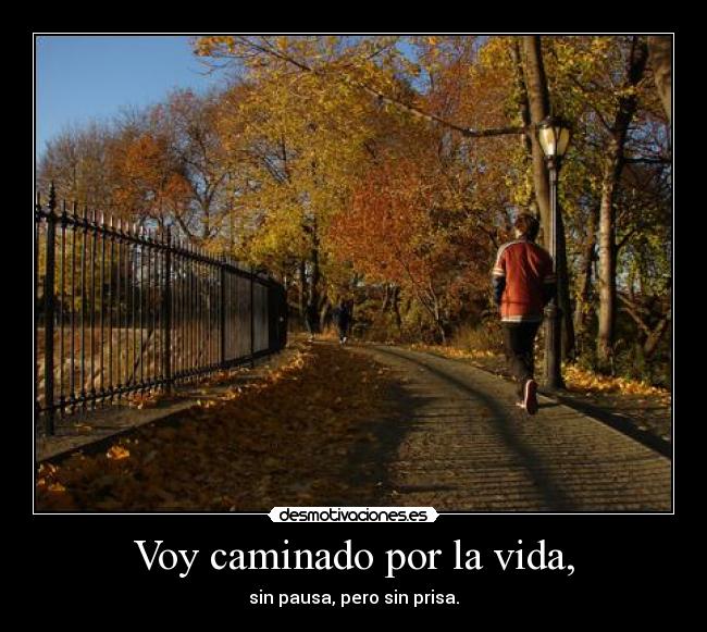 Voy caminado por la vida, - sin pausa, pero sin prisa.