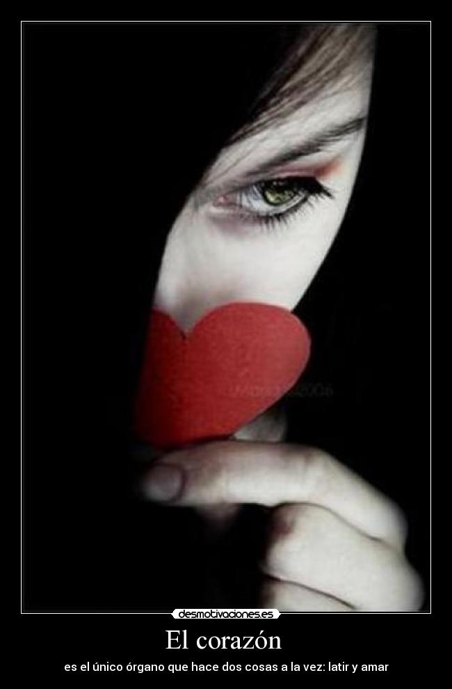 El corazón -
