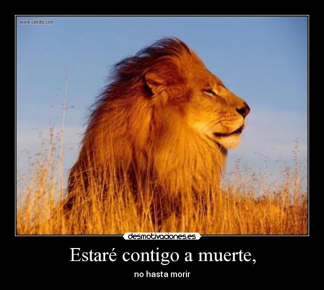 Estaré contigo a muerte, - no hasta morir