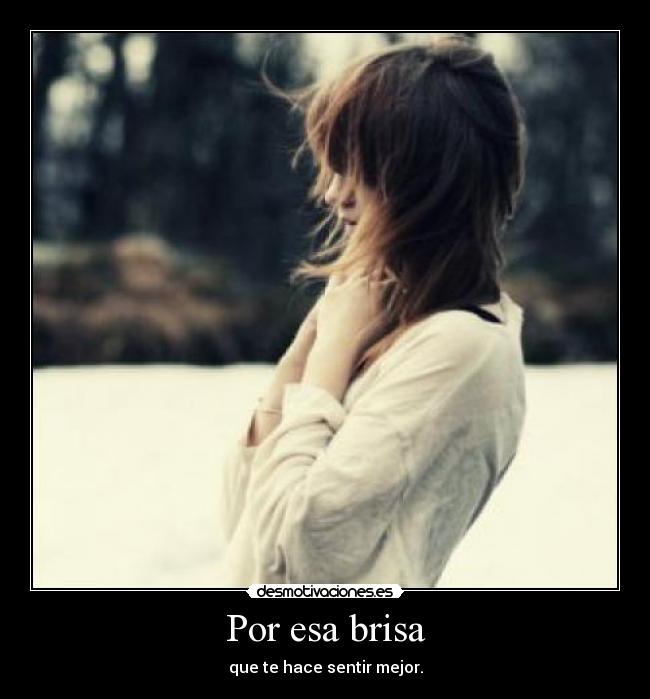 carteles brisa desmotivaciones