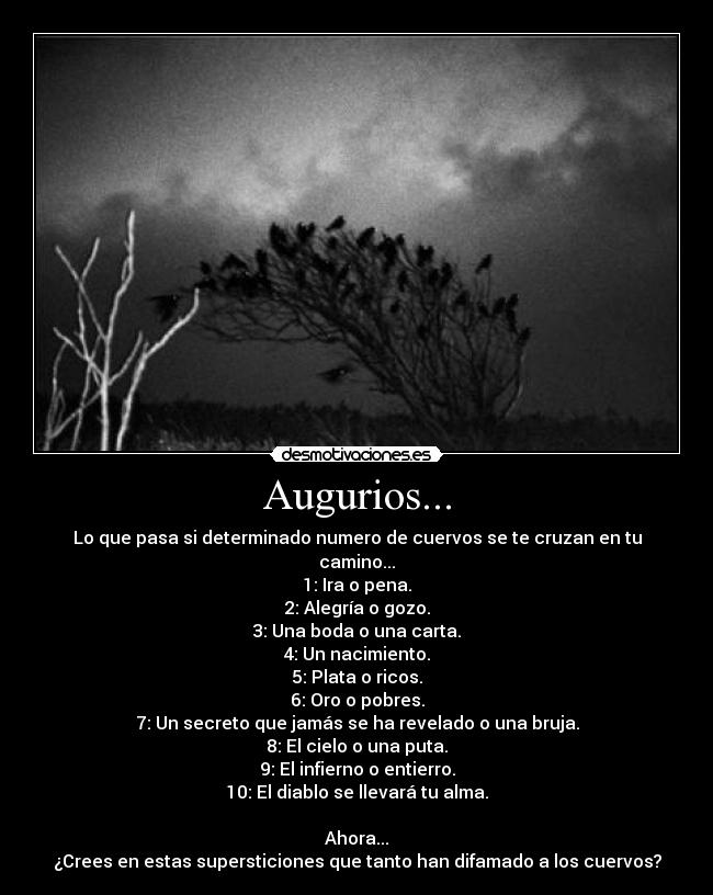 Augurios... - Lo que pasa si determinado numero de cuervos se te cruzan en tu camino...
1: Ira o pena.
2: Alegría o gozo.
3: Una boda o una carta.
4: Un nacimiento.
5: Plata o ricos.
6: Oro o pobres.
7: Un secreto que jamás se ha revelado o una bruja.
8: El cielo o una puta.
9: El infierno o entierro.
10: El diablo se llevará tu alma.

Ahora...
¿Crees en estas supersticiones que tanto han difamado a los cuervos?